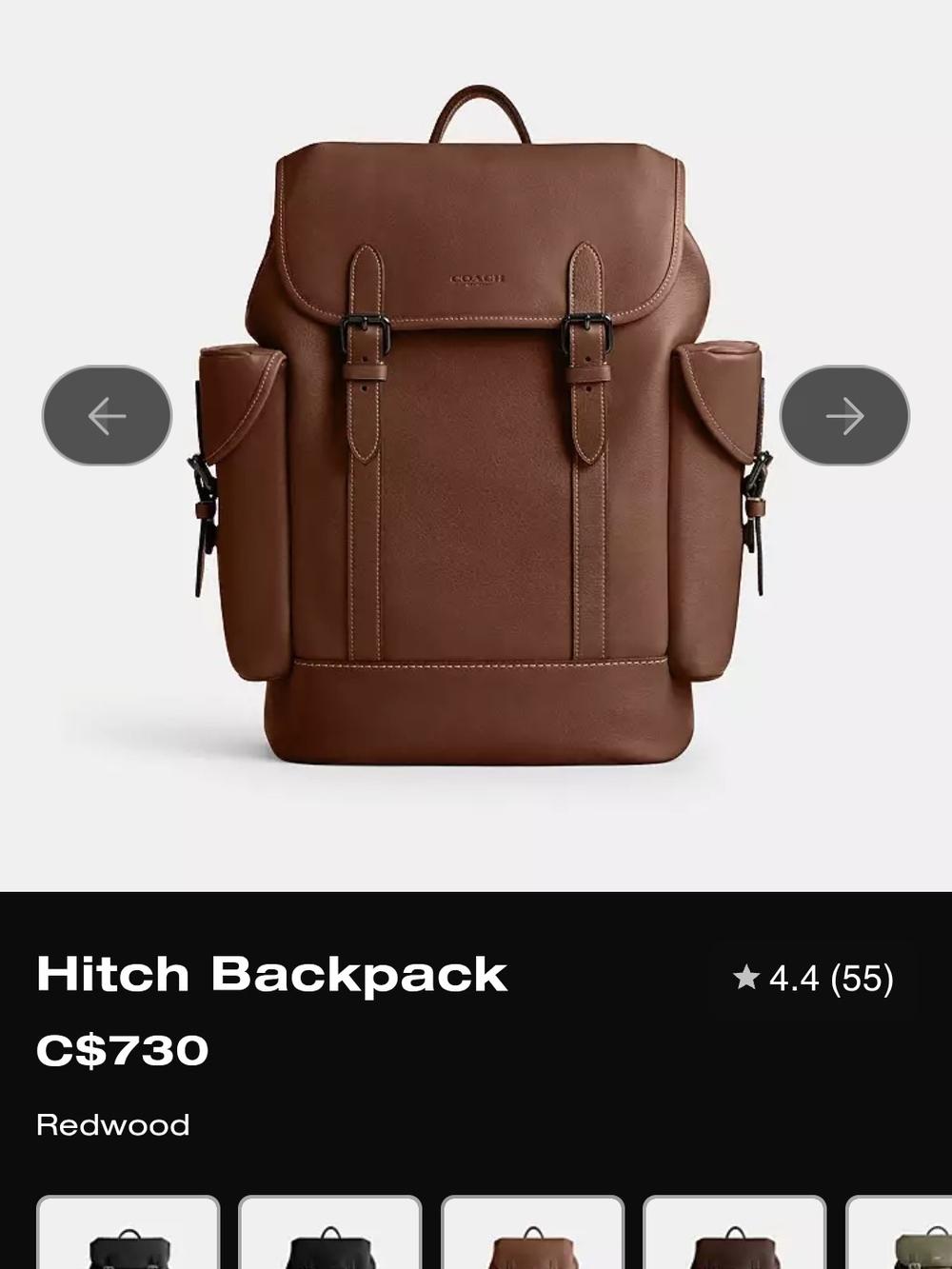 New Coach Hitch Backpack in Redwood